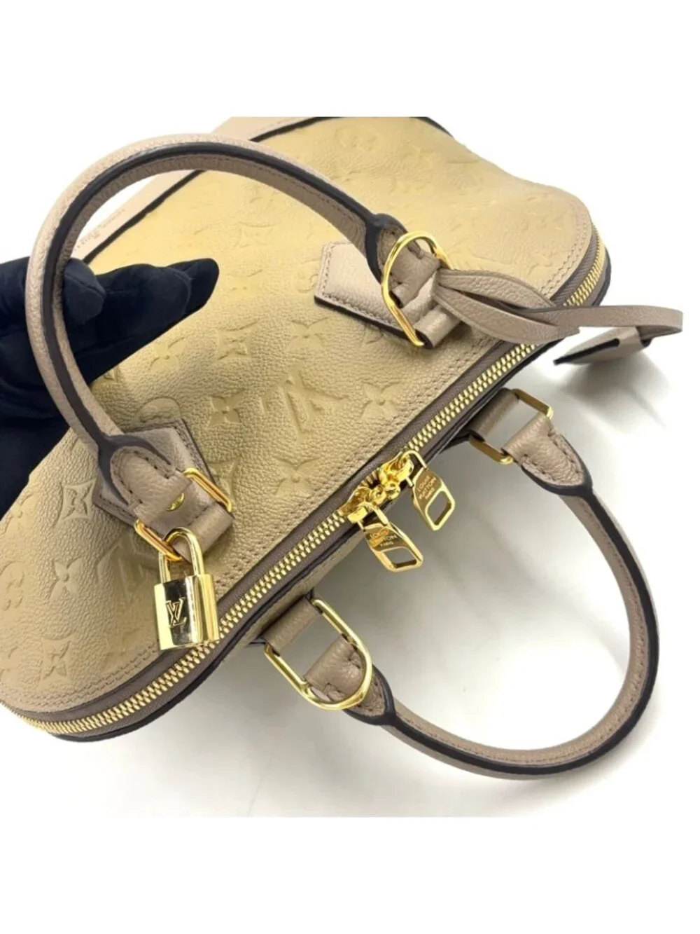 Louis Vuitton brand louis
